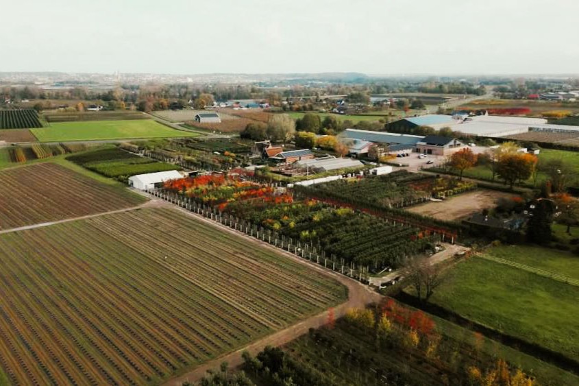 Baumschuleonline Baumschuleonline