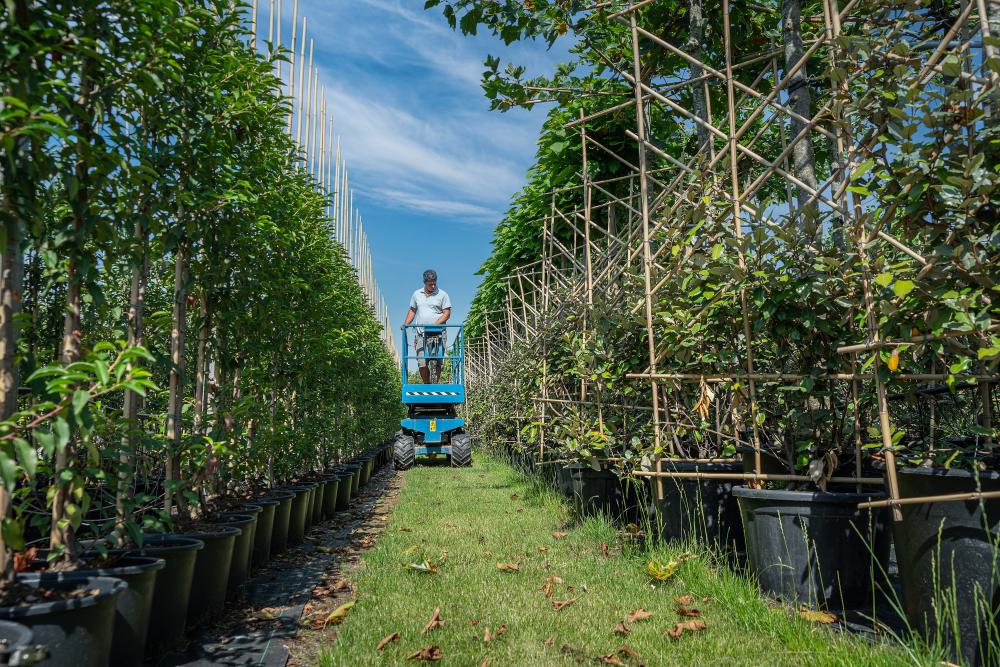Werken op de boomkwekerij