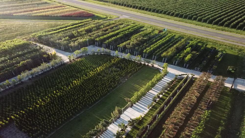 Groencentrum Bomenenzo