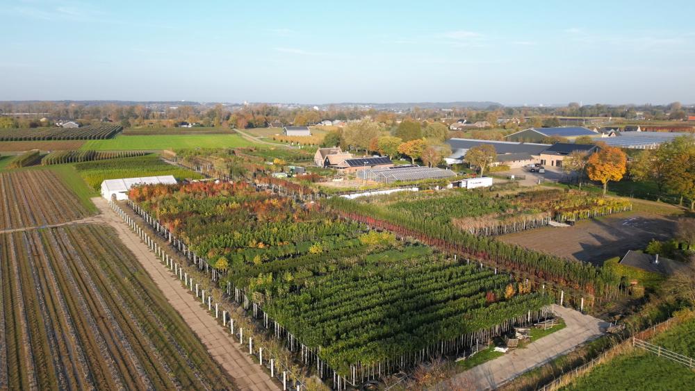 Pottenveld Bomenenzo
