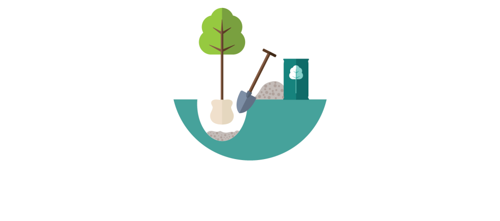 Hoe plant ik een boom