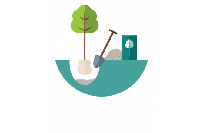 Hoe plant ik een boom
