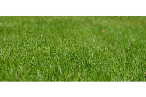 Gras uit tuin verwijderen