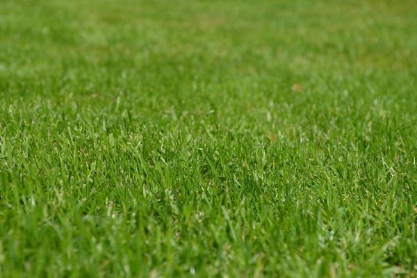 Gras uit tuin verwijderen