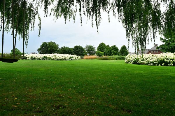Gras uit tuin verwijderen