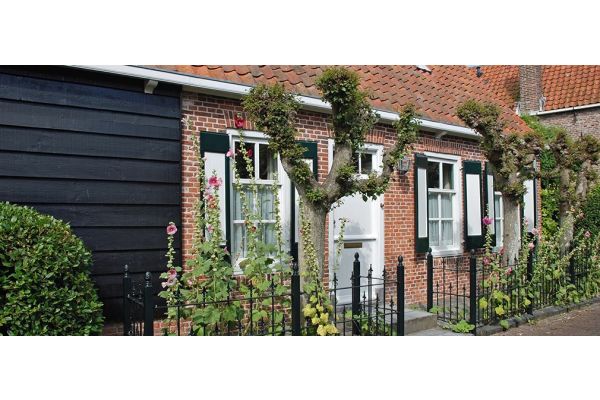 Top 10: Bäume für kleine Gärten