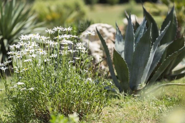 Garten mit Südausrichting