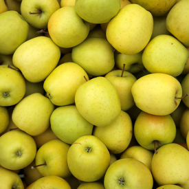 Appelboom Golden Delicious