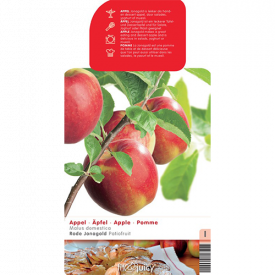 Rode handappel Jonagold Patiofruit