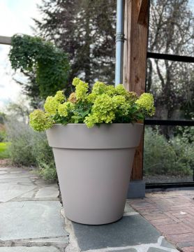 Plantenbak Daan 80 | Taupe