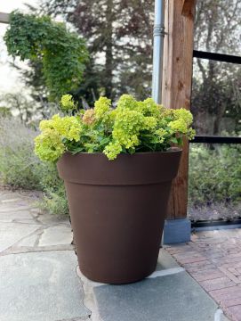 Plantenbak Daan 80 | Brons