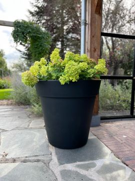 Plantenbak Daan 80 | Zwart