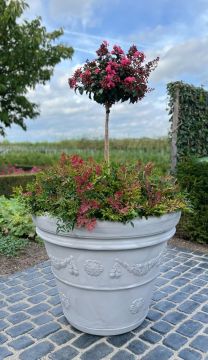 Plantenbak Felice 100 | Greystone