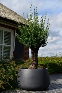Plantenbak Koert 95 | Antraciet