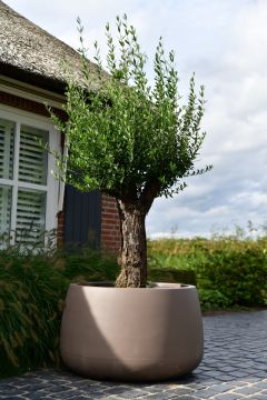 Plantenbak Koert 95 | Taupe