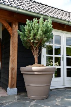 Plantenbak Mirella 100 | Taupe