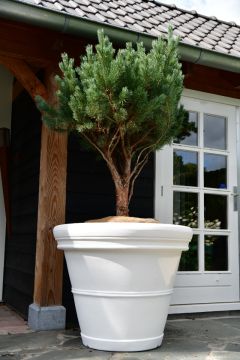 Plantenbak Mirella 100 | Wit