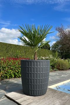 Plantenbak Yentl 80 | Antraciet