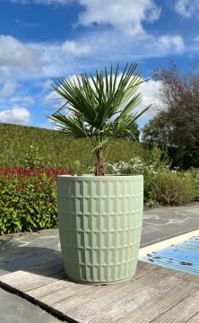 Plantenbak Yentl 80 | Lichtgroen