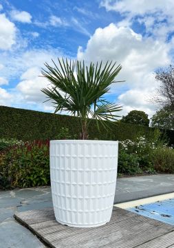 Plantenbak Yentl 80 | Wit