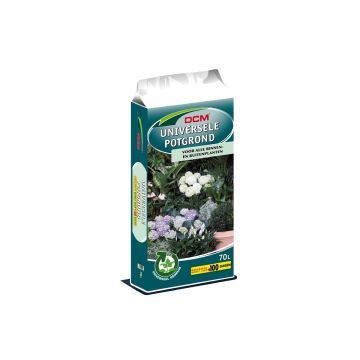 Aanplantgrond (potgrond)