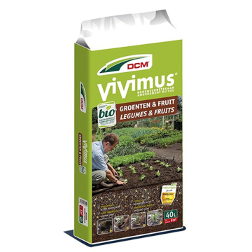 Vivimus groenten en fruit