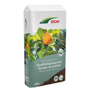 Vivimus olijven, citrus en vijgen